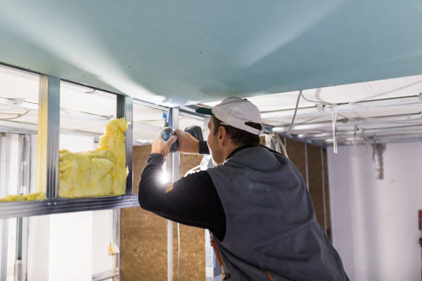 Best Local Insulation Services  in Medford, NY