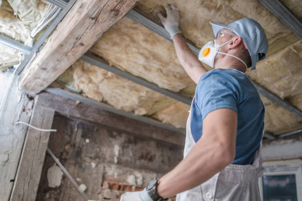 Best Best Insulation Companies  in Medford, NY